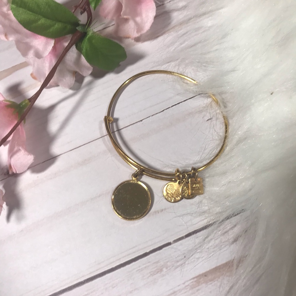 Alex and ani plain bracelet with blank charm